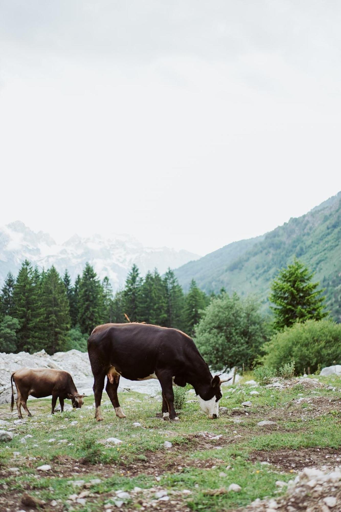 Valbona Resort & Spa Luaran gambar