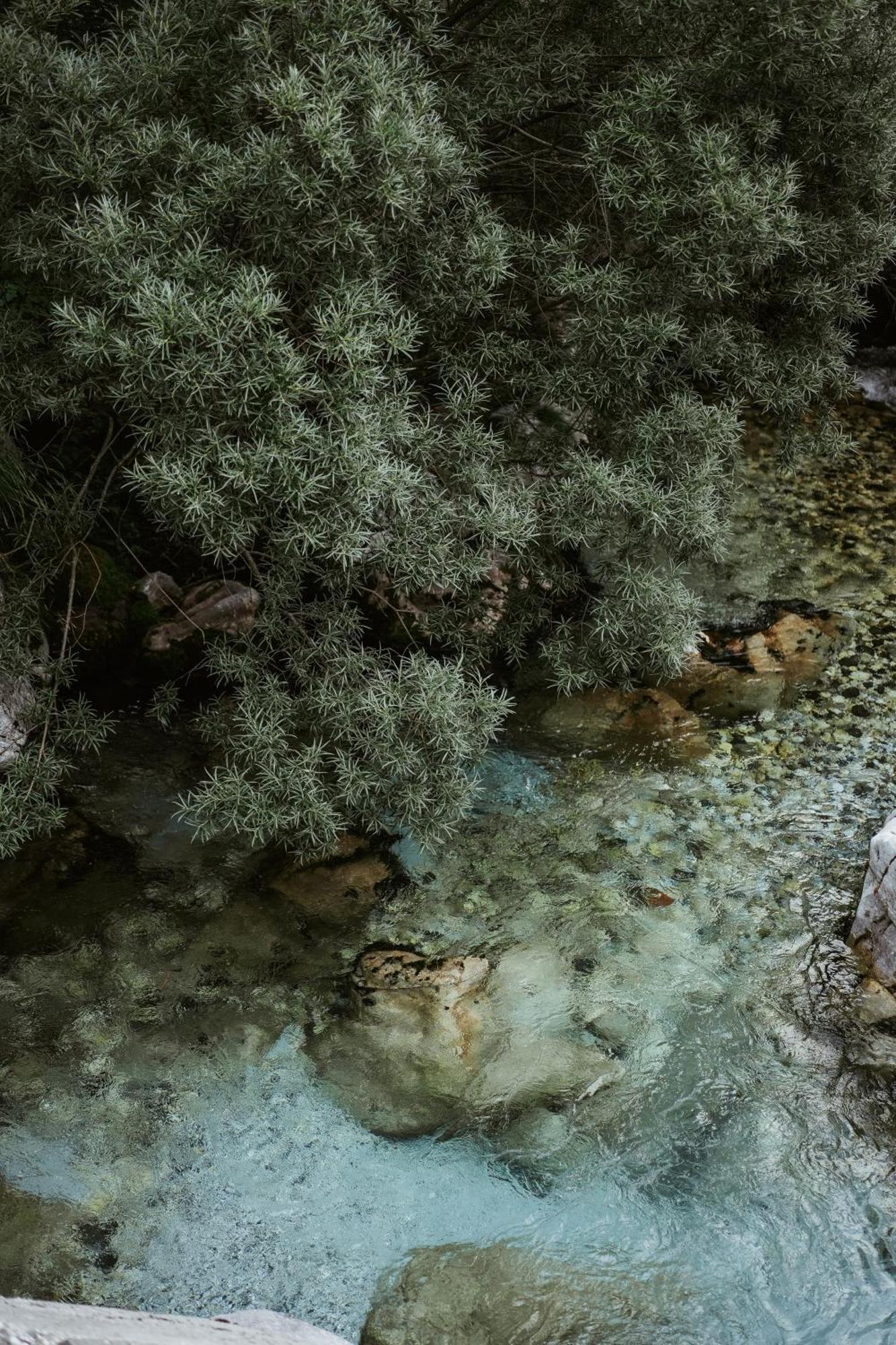 Valbona Resort & Spa Luaran gambar